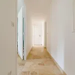Rez-de-villa Avec Espace Arbore Privatif Σαιντ-Μαξίμ